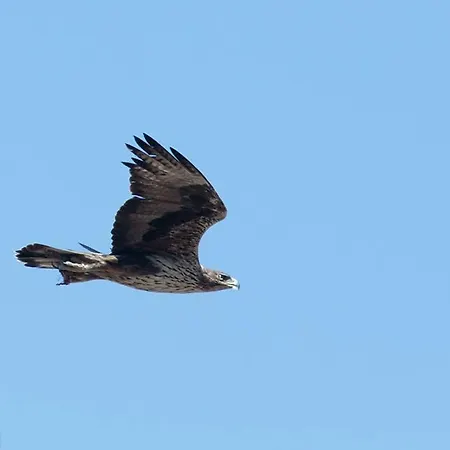 Lejlighedshotel Dorana & Trekking Diafánion