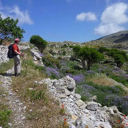 Dorana & Trekking Diafánion