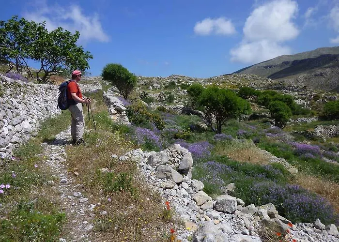 Dorana & Trekking Diafánion